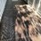 #503-•-40'-high-cube-multi-door-shipping-container-image-13