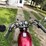 #313-•-1987-kawasaki-ltd-305-motorcycle-(has-wi-title)-(eau-claire,-wi)-image-26