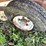 case-ih-56-image-13