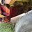 #204-•-1997-ford-4202l-garbage-truck-(has-mn-title)(clarks-grove,-mn)-image-10