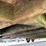 #712-•-2006-atlas-combo-tandem-axle-enclosed-trailer-(has-wi-title)(helenville,-wi)-image-9
