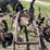 john-deere-14-image-21