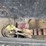 #25406-•-2003-mack-cv713-granite-truck-image-100
