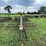 #2974-•-round-bale-wagon-image-2