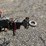 2014-multiquip-wt5c-image-7