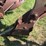 john-deere-55-abh-image-23