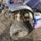 #5086-•-2010-kids-4-wheeler-image-11