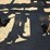 dmi-tiger-image-60