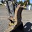 2016-deere-60g-image-14