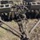 john-deere-7-image-10