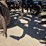 dmi-tiger-image-57
