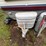 #5996-•-1989-fleetwood-resort-camper-(three-lakes,-wi)-(has-wi-title)-image-61