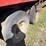 ford-9000-image-16