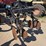 dmi-tiger-image-22