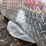 #5096-•-l-shaped-fuel-transfer-tank-image-6