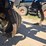 dmi-tiger-image-62