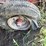 case-ih-600-image-16