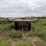 hay-trailer-image-2