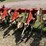 international-133-cultivator-image-4