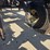 dmi-tiger-image-61