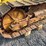 #119-•-terratrac-gt-30-track-loader-(mason,-wi)-image-20