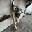 #2840-•-1987-roadmaster-5th-wheel-enclosed-trailer-(has-wi-title)-image-14
