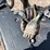 #1872-•-2006-c&w-5x10-trailer-(has-nm-title)-image-18