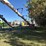 feterl-grain-auger-image-8