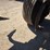 dmi-tiger-image-58