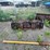 #509-•-4-in-1-skid-steer-bucket-(green-bay,-wi)-image-5
