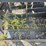 #514-•-2023-berlon-66"-grapple-(barron,-wi)-image-7