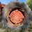 #6211-•-allis-chalmers-wd-tractor-image-32
