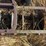 john-deere-11-image-29