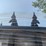 #2519-•-greatbear-14'-bi-parting-gate-image-8