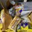 #6282-•-tote-of-patriot-pantry-freeze-dried-foods-image-3