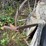 #6233-•-vintage-american-seeding-machine-drill-image-13