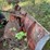 #6215-•-road-grader-image-6