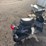 #5085-•-honda-spree-moped-(no-title)-image-3