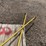 #5122-•-(2)-penn-downriggers-image-4