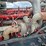 2014-peterbilt-389-image-48