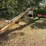 alloway-gs15-auger-image-1