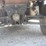 2023-polaris-ranger-crew-image-21