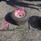 2008-toro-groundsmaster-7210-image-68