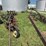 john-deere-55-abh-image-30