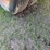 mauer-grain-trailer-image-16