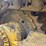 caterpillar-d8h-image-16