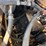 ford-9000-image-22