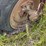 #6220-•-vintage-two-bottom-plow-image-14