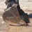 2019-komatsu-pc138us-image-35