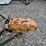 #2958-•-10'-single-axle-utility-trailer-(no-title)-image-16